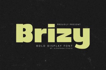 Brizy - Display Sans